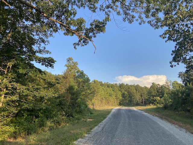 359 Cunningham Ln, Lobelville, TN 37097 - photo 34