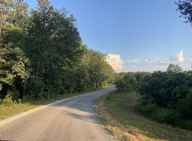 359 Cunningham Ln, Lobelville, TN 37097 - photo 32