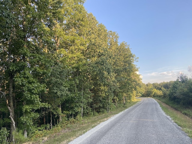 359 Cunningham Ln, Lobelville, TN 37097 - photo 30