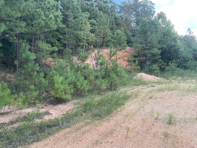 359 Cunningham Ln, Lobelville, TN 37097 - photo 36
