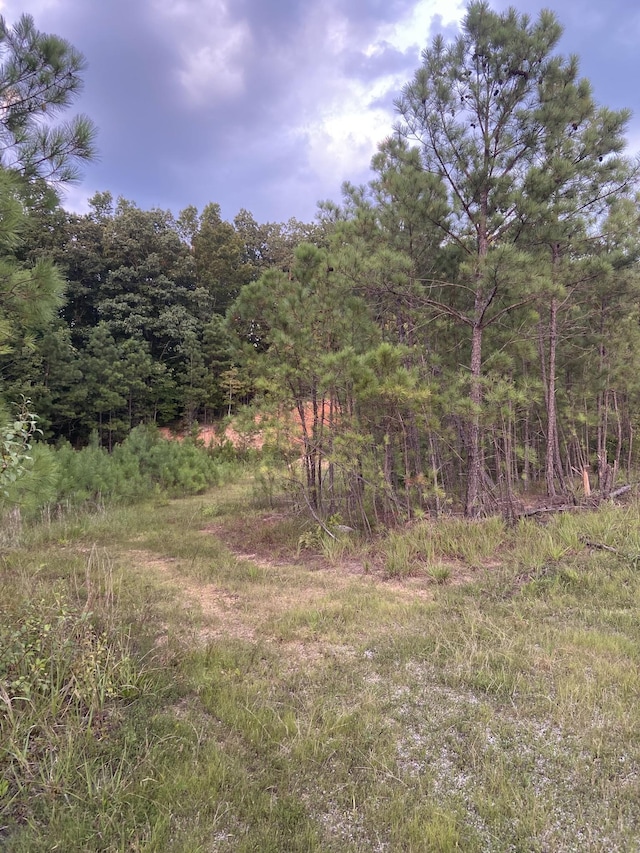 359 Cunningham Ln, Lobelville, TN 37097 - photo 35