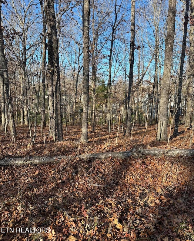139 Hamlet Dr, Crossville, TN 38558 - photo 1