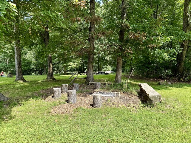 1086 Brown Mill Rd, Mc Ewen, TN 37101 - photo 11