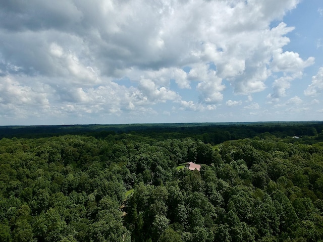 1086 Brown Mill Rd, Mc Ewen, TN 37101 - photo 6