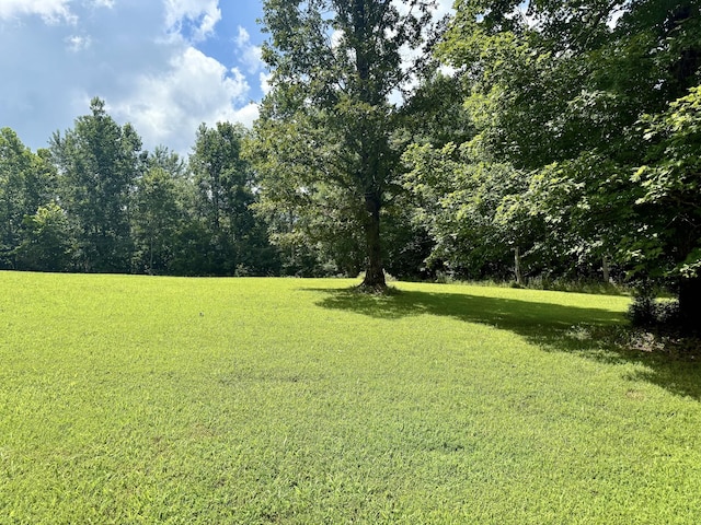 1086 Brown Mill Rd, Mc Ewen, TN 37101 - photo 8