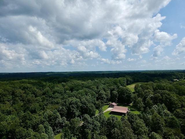 1086 Brown Mill Rd, Mc Ewen, TN 37101 - photo 5