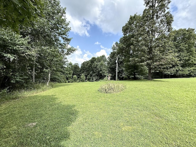 1086 Brown Mill Rd, Mc Ewen, TN 37101 - photo 9