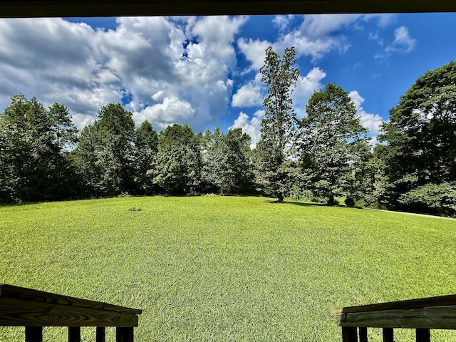 1086 Brown Mill Rd, Mc Ewen, TN 37101 - photo 7