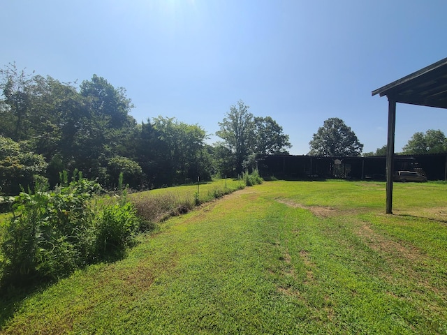 954 S Buchanan Rd, Waverly, TN 37185 - photo 7