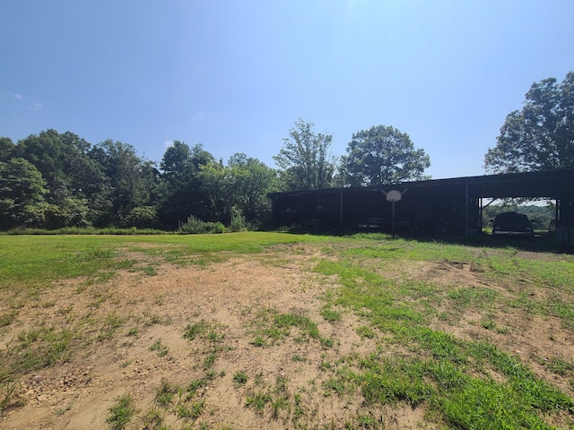 954 S Buchanan Rd, Waverly, TN 37185 - photo 10