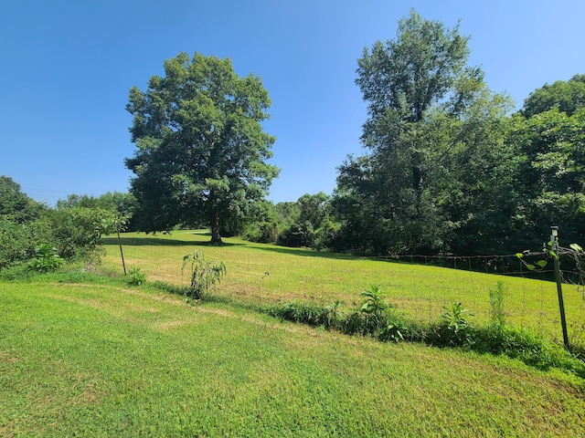 954 S Buchanan Rd, Waverly, TN 37185 - photo 5