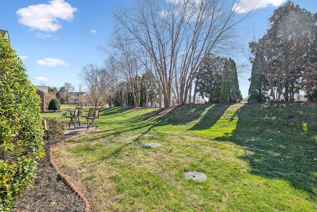 192 Winfrey Ct, Pleasant View, TN 37146 - photo 40