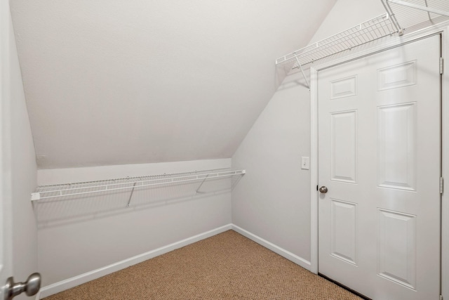 192 Winfrey Ct, Pleasant View, TN 37146 - photo 32