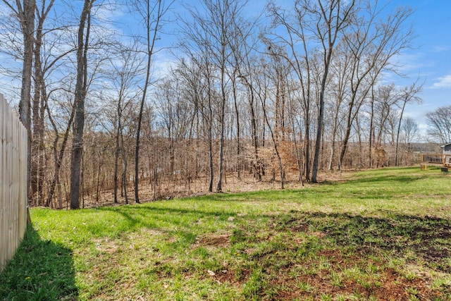 1186 Cottonwood Dr, Clarksville, TN 37040 - photo 33