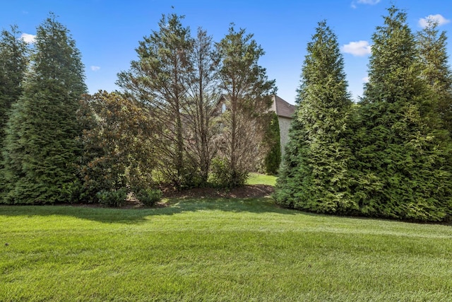 9065 Chardonnay Trce, Franklin, TN 37067 - photo 62