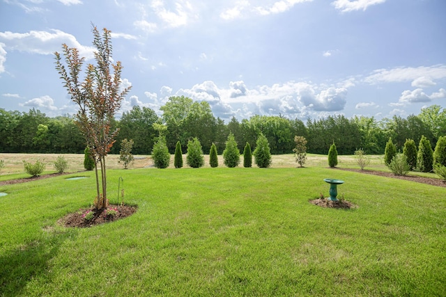 5448 Ayana Dr, Arrington, TN 37014 - photo 39