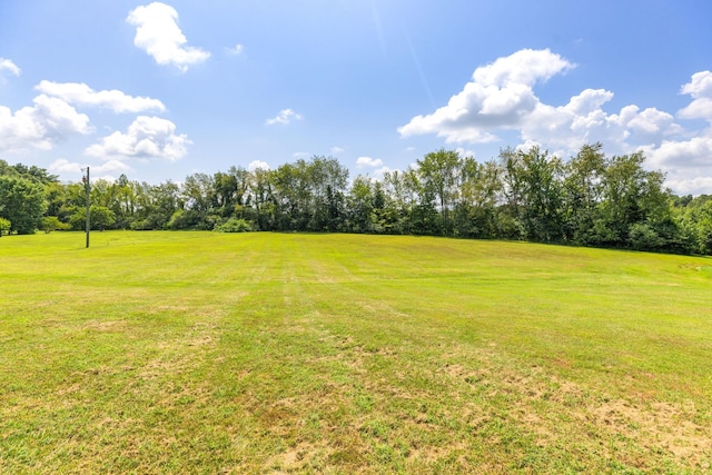 7367 Crow Cut Rd, Fairview, TN 37062 - photo 80