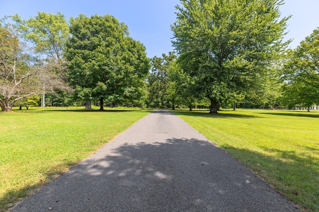 7367 Crow Cut Rd, Fairview, TN 37062 - photo 63