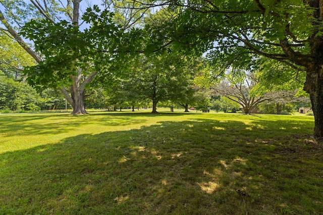 7367 Crow Cut Rd, Fairview, TN 37062 - photo 71