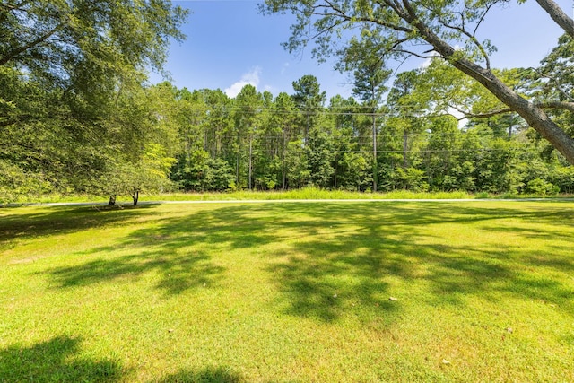 7367 Crow Cut Rd, Fairview, TN 37062 - photo 75