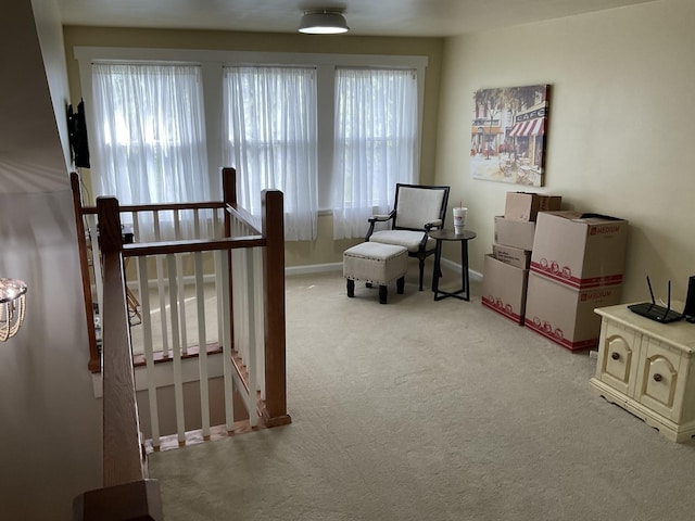 201 Cumberland St, Bell Buckle, TN 37020 - photo 39