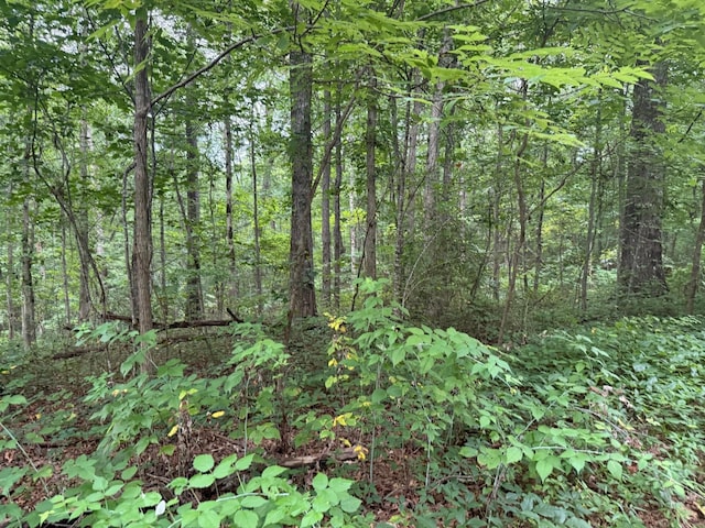 1 Tipple Rd, Tracy City, TN 37387 - photo 4