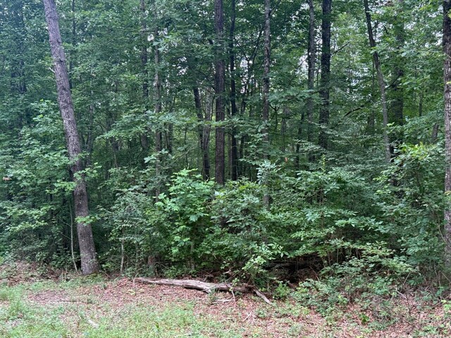 1 Tipple Rd, Tracy City, TN 37387 - photo 9