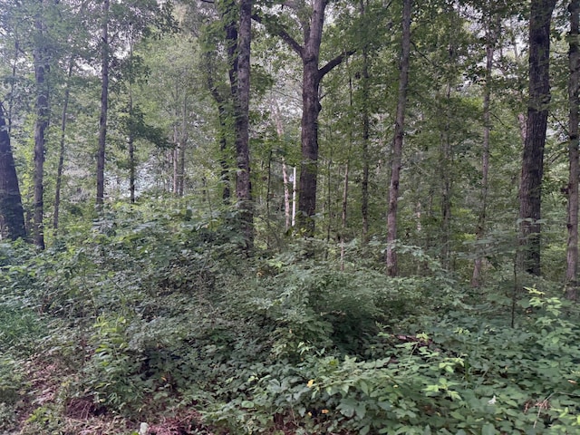 1 Tipple Rd, Tracy City, TN 37387 - photo 6