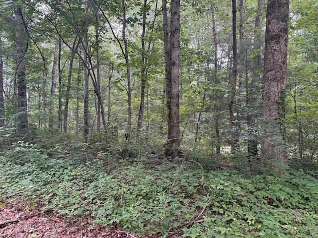 1 Tipple Rd, Tracy City, TN 37387 - photo 2