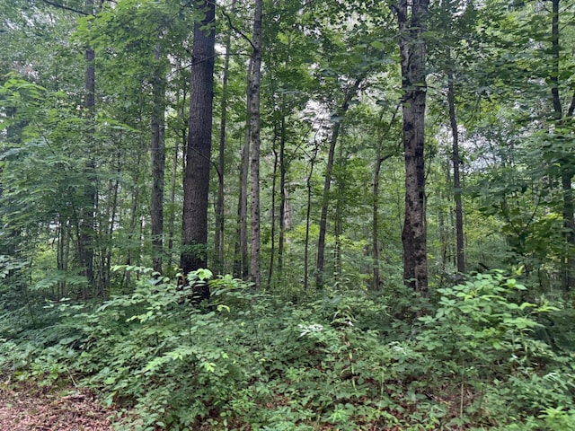 1 Tipple Rd, Tracy City, TN 37387 - photo 1
