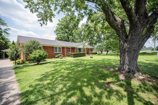 1123 Jones Blvd, Murfreesboro, TN 37129 - photo 3