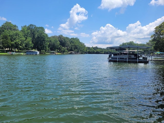 148 Brandi Way, Winchester, TN 37398 - photo 50