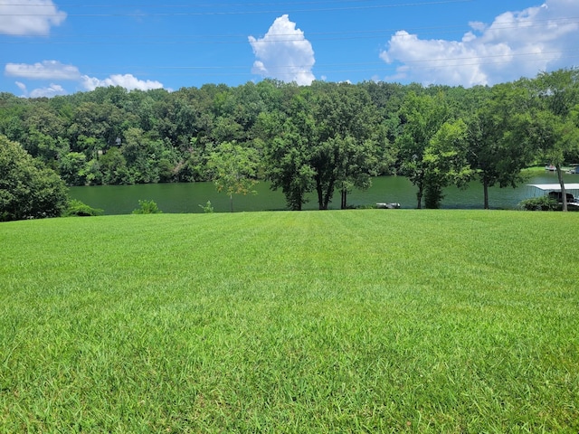 148 Brandi Way, Winchester, TN 37398 - photo 4