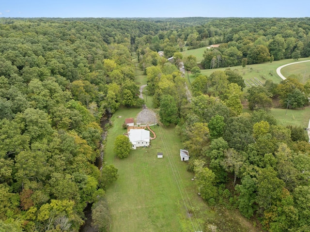 8188 Shoals Branch Rd, Primm Springs, TN 38476 - photo 63