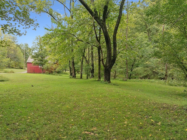 8188 Shoals Branch Rd, Primm Springs, TN 38476 - photo 56