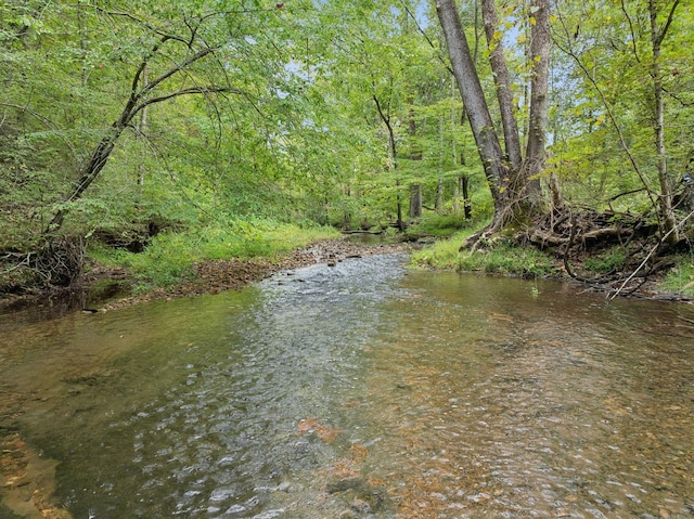 8188 Shoals Branch Rd, Primm Springs, TN 38476 - photo 57