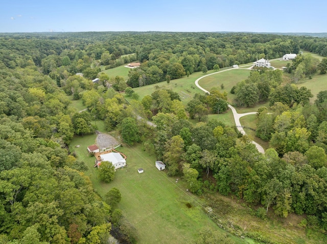 8188 Shoals Branch Rd, Primm Springs, TN 38476 - photo 62