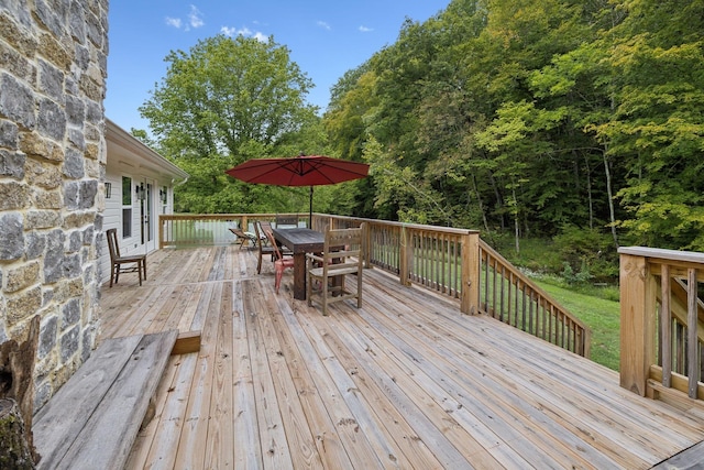 8188 Shoals Branch Rd, Primm Springs, TN 38476 - photo 48