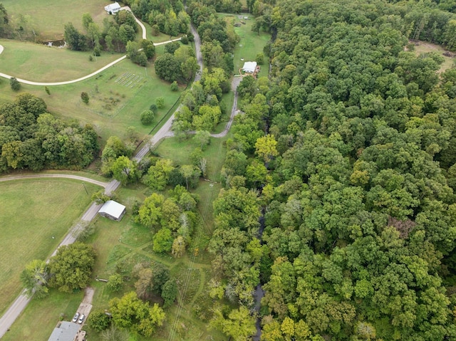 8188 Shoals Branch Rd, Primm Springs, TN 38476 - photo 61