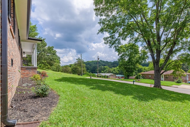 308 Longview Dr, Pulaski, TN 38478 - photo 7