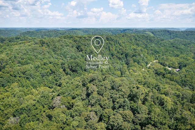 0 Buffalo Valley Rd, Silver Point, TN 38582 - photo 10