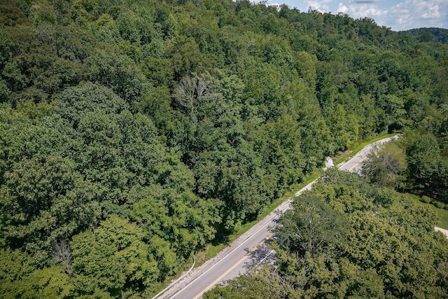 0 Buffalo Valley Rd, Silver Point, TN 38582 - photo 4