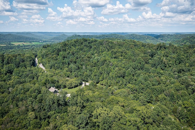 0 Buffalo Valley Rd, Silver Point, TN 38582 - photo 11