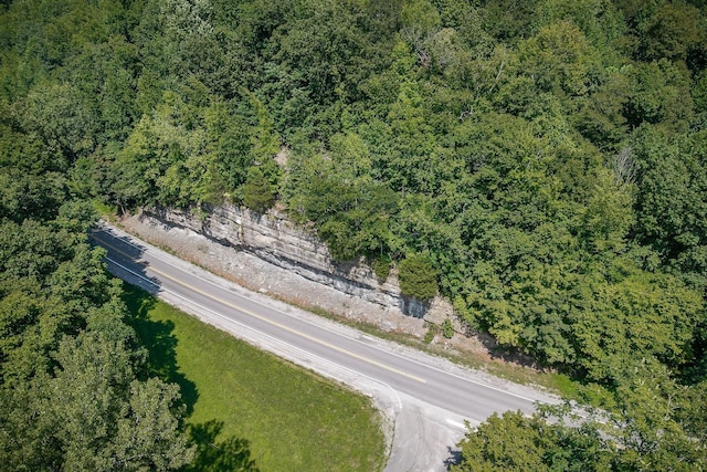 0 Buffalo Valley Rd, Silver Point, TN 38582 - photo 5