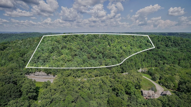 0 Buffalo Valley Rd, Silver Point, TN 38582 - photo 8