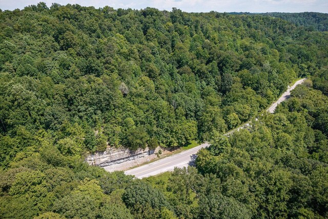 0 Buffalo Valley Rd, Silver Point, TN 38582 - photo 6