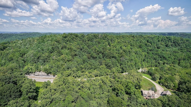 0 Buffalo Valley Rd, Silver Point, TN 38582 - photo 7