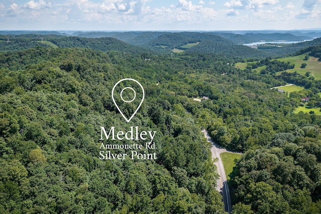 0 Buffalo Valley Rd, Silver Point, TN 38582 - photo 16