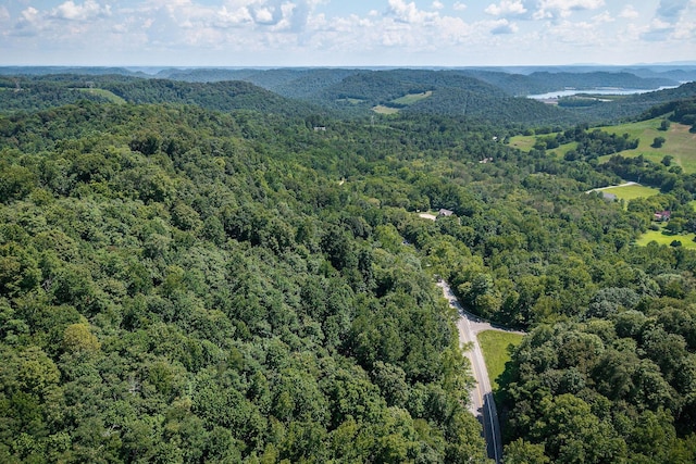 0 Buffalo Valley Rd, Silver Point, TN 38582 - photo 15