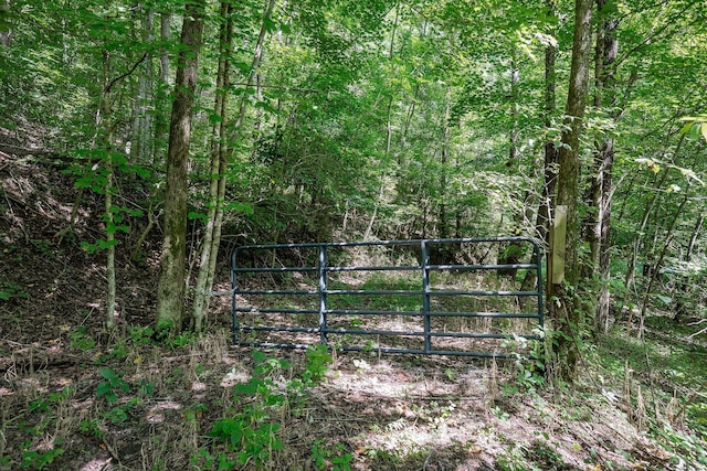 0 Buffalo Valley Rd, Silver Point, TN 38582 - photo 22